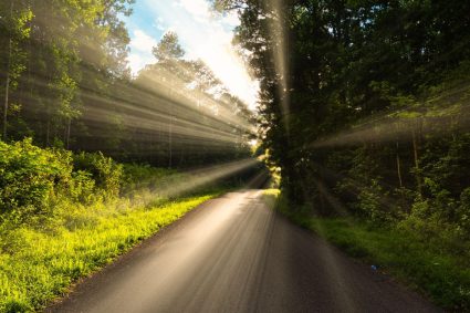 👑 LE ROI VIENT BIENTÔT | 24.04.2026 | 🐑 La voix du Berger : orientation dans le temps de la fin
