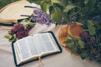 🌱VIE DE FOI VIVANTE | 📖 Leçon 4: Le rôle de la Bible | 4.6 Résumé | 🌱 GRANDIR DANS SA RELATION AVEC DIEU
