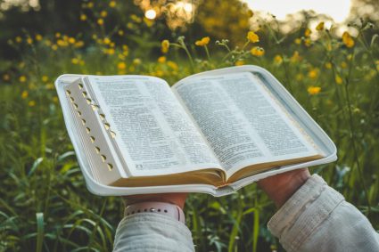 🌱VIE DE FOI VIVANTE | 📚 Leçon 5: Comment étudier la Bible | 5.6 Résumé | 🌱 GRANDIR DANS SA RELATION AVEC DIEU