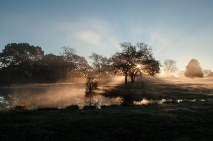 💧L’INTELLIGENCE SILENCIEUSE DU CORPS | ☀️ 3. Pourquoi la lumière a plus d’influence que l’alimentation | 🧠 Série 1 : Les fondements de l’ordre biologique